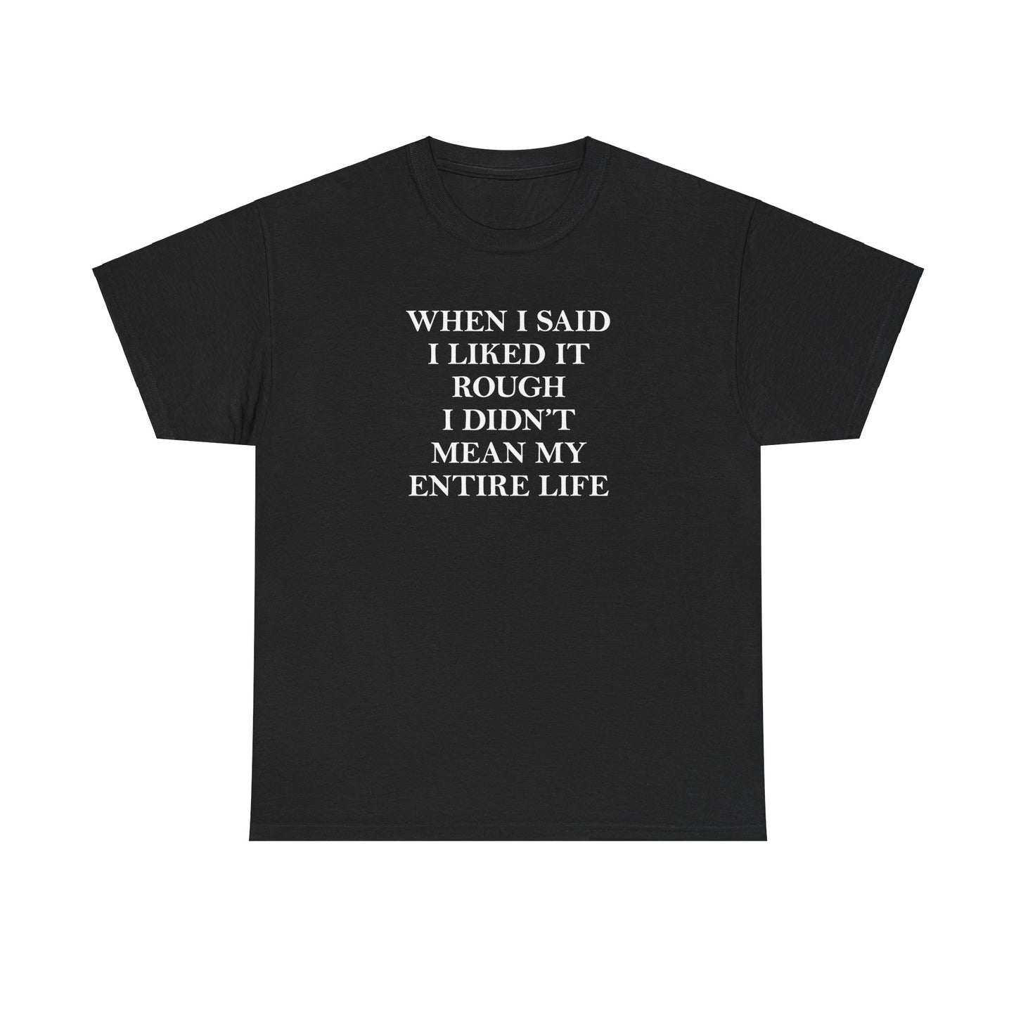WHEN I SAID I LIKED IT ROUGH I DIDN'T MEAN MY ENTIRE LIFE T-SHIRT